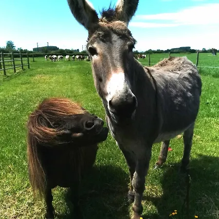 Гостевой дом Le Domaine Du Templier - Marechal Borre