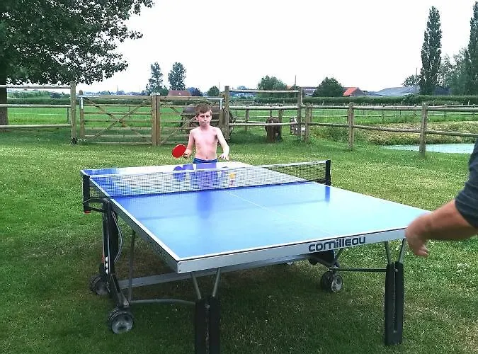 Le Domaine Du Templier - Maréchal